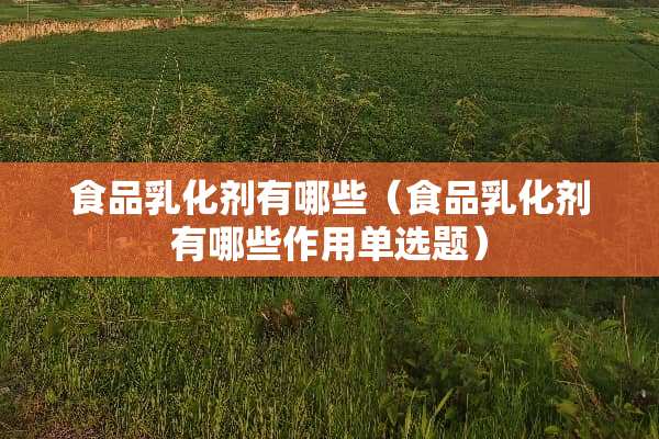 食品*化剂有哪些（食品*化剂有哪些作用单选题）