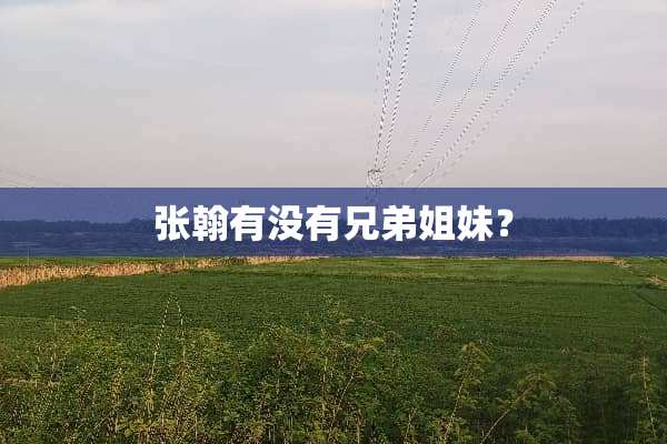 张翰有没有兄弟姐妹？