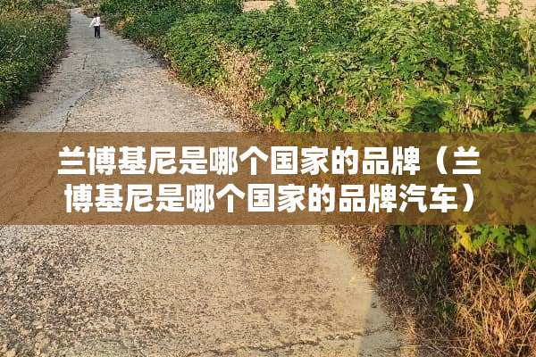 兰博基尼是哪个国家的品牌（兰博基尼是哪个国家的品牌汽车）