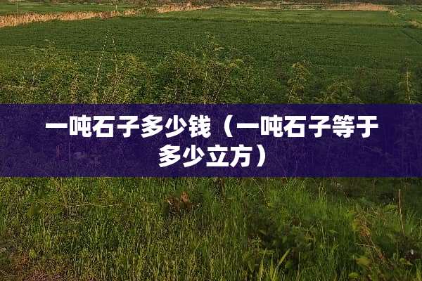一吨石子多少钱（一吨石子等于多少立方）