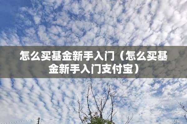 怎么买基金新手入门（怎么买基金新手入门支付宝）