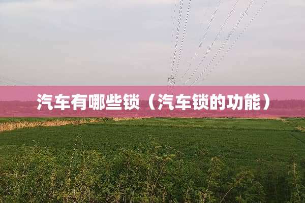 汽车有哪些锁（汽车锁的功能）