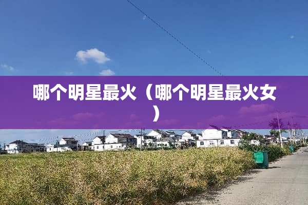 哪个明星最火（哪个明星最火女）