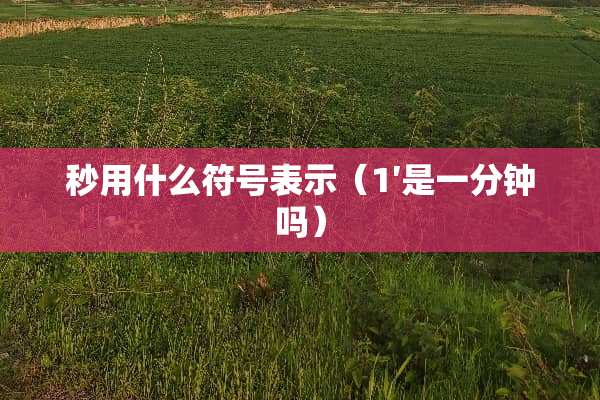 秒用什么符号表示（1′是一分钟吗）