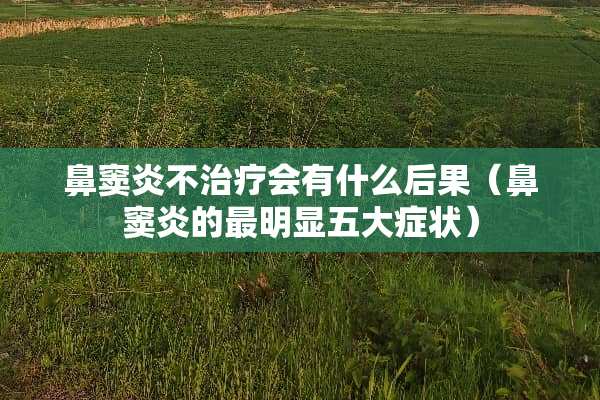 鼻窦炎不治疗会有什么后果（鼻窦炎的最明显五大症状）