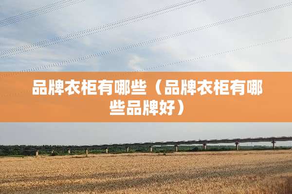 品牌衣柜有哪些（品牌衣柜有哪些品牌好）