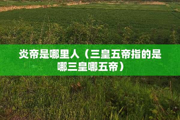 炎帝是哪里人（三皇五帝指的是哪三皇哪五帝）