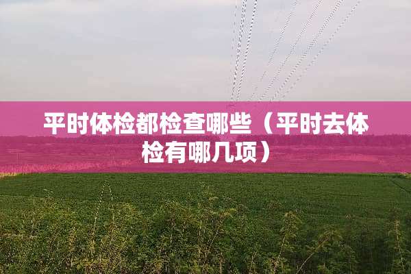 平时体检都检查哪些（平时去体检有哪几项）