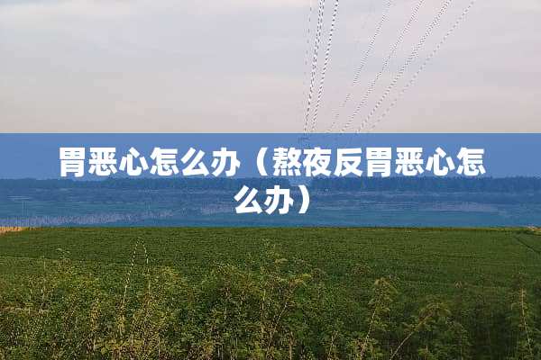 胃恶心怎么办（熬夜反胃恶心怎么办）