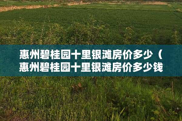 惠州碧桂园十里银滩房价多少（惠州碧桂园十里银滩房价多少钱一平方）