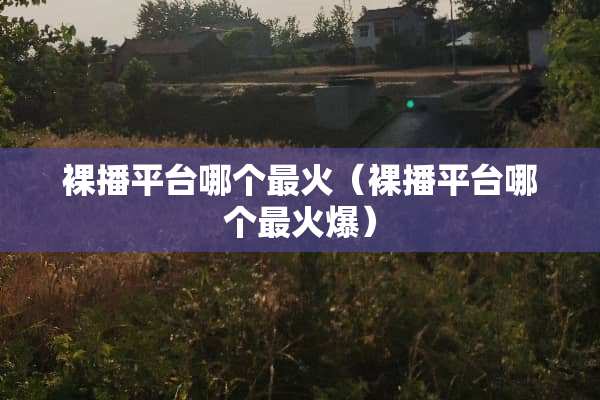 裸播平台哪个最火（裸播平台哪个最火爆）