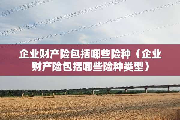 企业财产险包括哪些险种（企业财产险包括哪些险种类型）