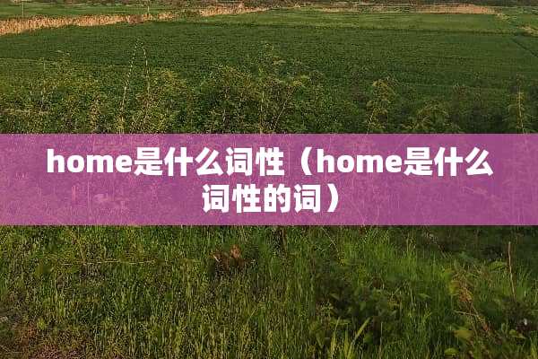 home是什么词性（home是什么词性的词）