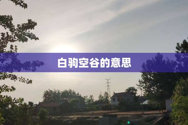 白驹空谷的意思