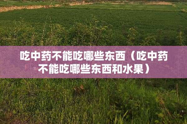 吃中药不能吃哪些东西（吃中药不能吃哪些东西和水果）