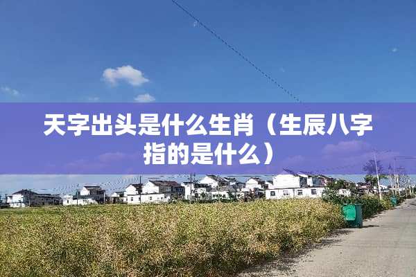 天字出头是什么生肖（生辰八字指的是什么）