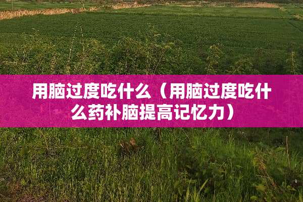 用脑过度吃什么（用脑过度吃什么药补脑提高记忆力）
