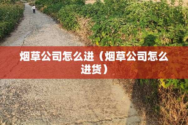 烟草公司怎么进（烟草公司怎么进货）
