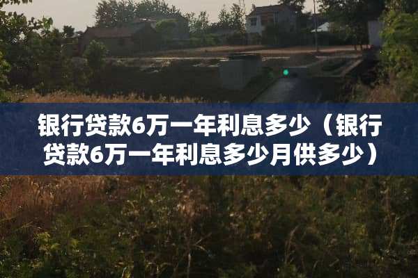 银行贷款6万一年利息多少（银行贷款6万一年利息多少月供多少）