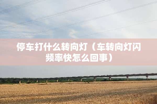 停车打什么转向灯（车转向灯闪频率快怎么回事）