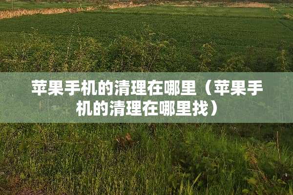 苹果手机的清理在哪里（苹果手机的清理在***）