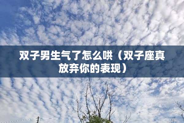 双子男生气了怎么哄（双子座真放弃你的表现）