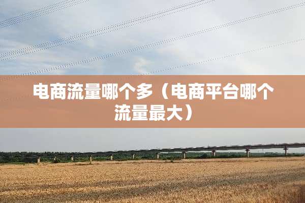 电商流量哪个多（电商平台哪个流量最大）