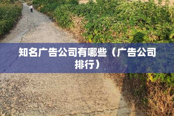 知名广告公司有哪些（广告公司排行）