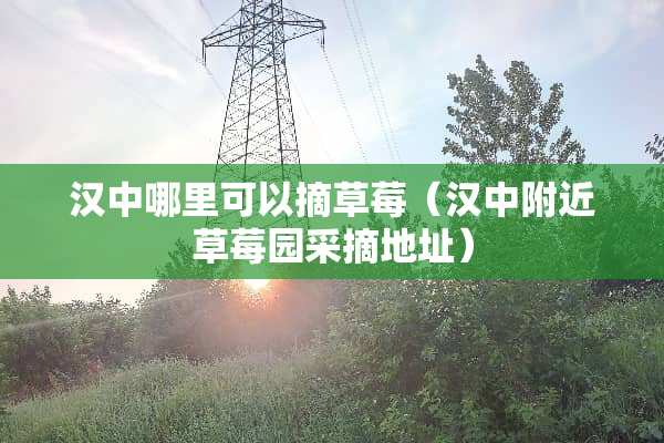 汉中哪里可以摘草莓（汉中附近草莓园采摘地址）