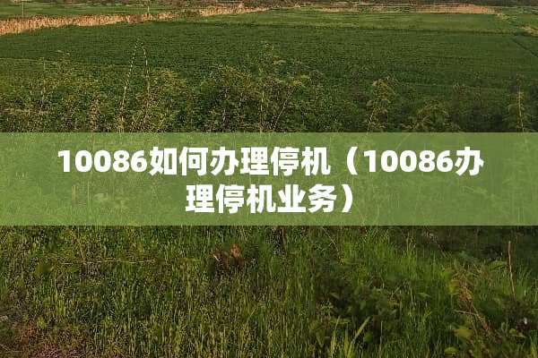 10086如何办理停机（10086办理停机业务）