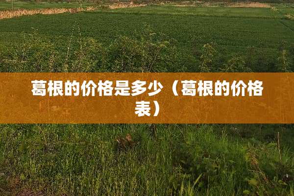 葛根的价格是多少（葛根的价格表）