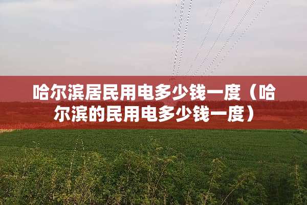哈尔滨居民用电多少钱一度（哈尔滨的民用电多少钱一度）