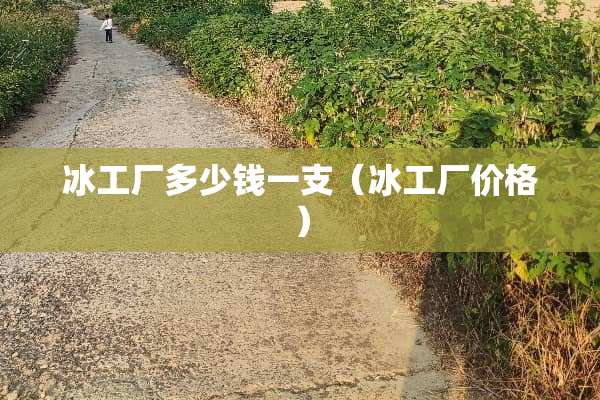 冰工厂多少钱一支（冰工厂价格）