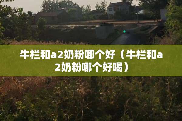 牛栏和a**粉哪个好（牛栏和a**粉哪个好喝）