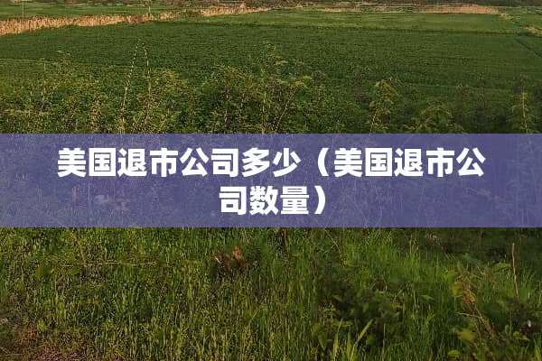 美国退市公司多少（美国退市公司数量）