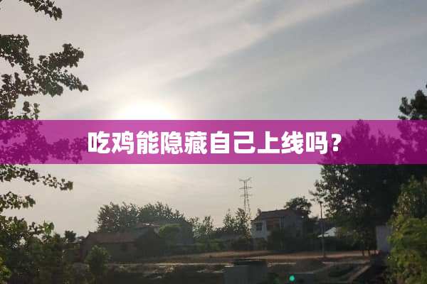 吃鸡能隐藏自己上线吗？