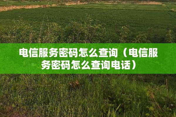 电信服务密码怎么查询（电信服务密码怎么查询电话）