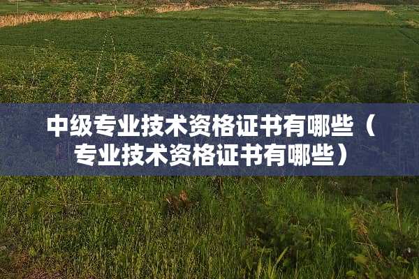 中级专业技术资格证书有哪些（专业技术资格证书有哪些）