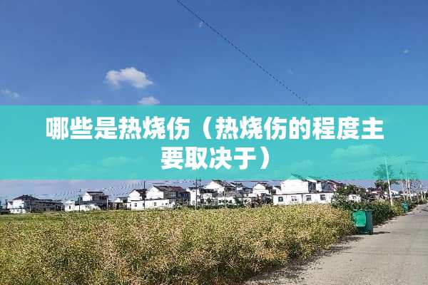 哪些是热烧伤（热烧伤的程度主要取决于）