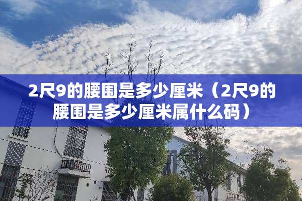 2尺9的腰围是多少厘米（2尺9的腰围是多少厘米属什么码）