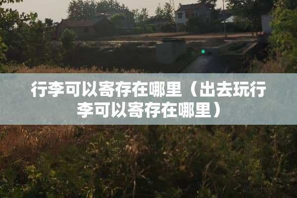 行李可以寄存在哪里（出去玩行李可以寄存在哪里）