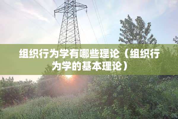 组织行为学有哪些理论（组织行为学的基本理论）