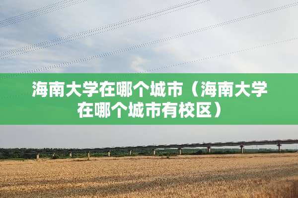 海南大学在哪个城市（海南大学在哪个城市有校区）