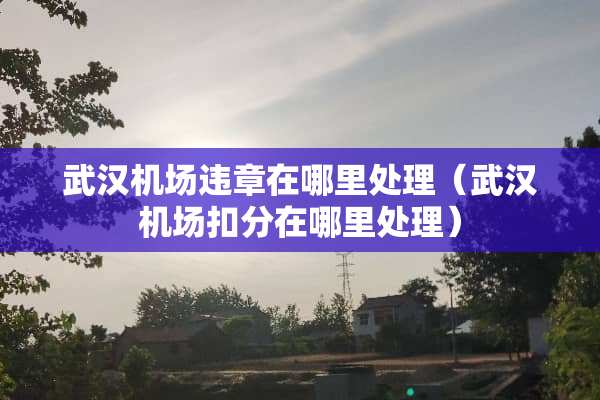 武汉机场违章在哪里处理（武汉机场扣分在哪里处理）
