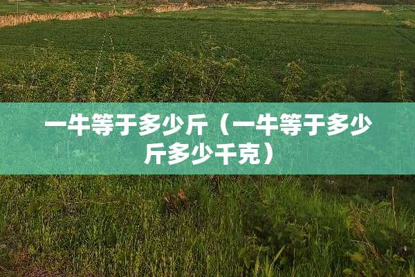 一牛等于多少斤（一牛等于多少斤多少千克）