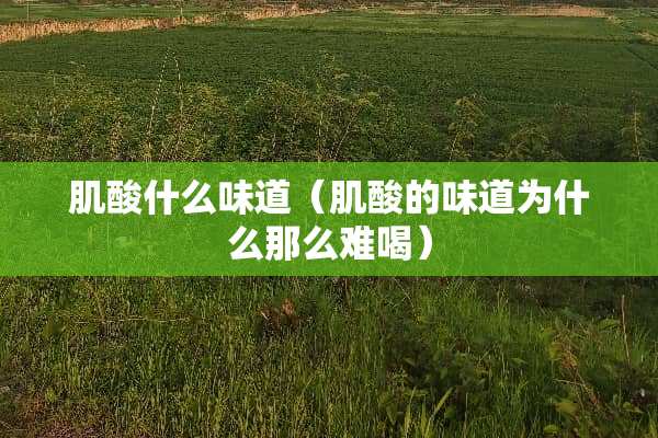 肌酸什么味道（肌酸的味道为什么那么难喝）