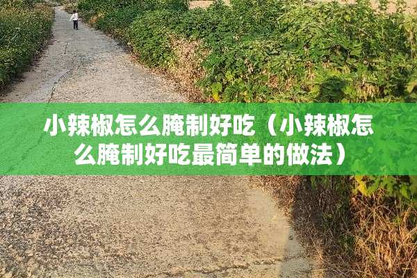 小辣椒怎么腌制好吃（小辣椒怎么腌制好吃最简单的做法）