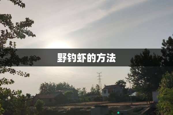 野钓虾的方法