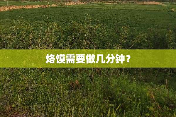 烙馍需要做几分钟？