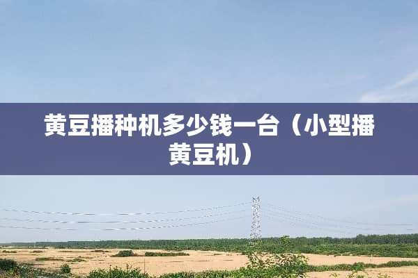 黄豆播种机多少钱一台（小型播黄豆机）
